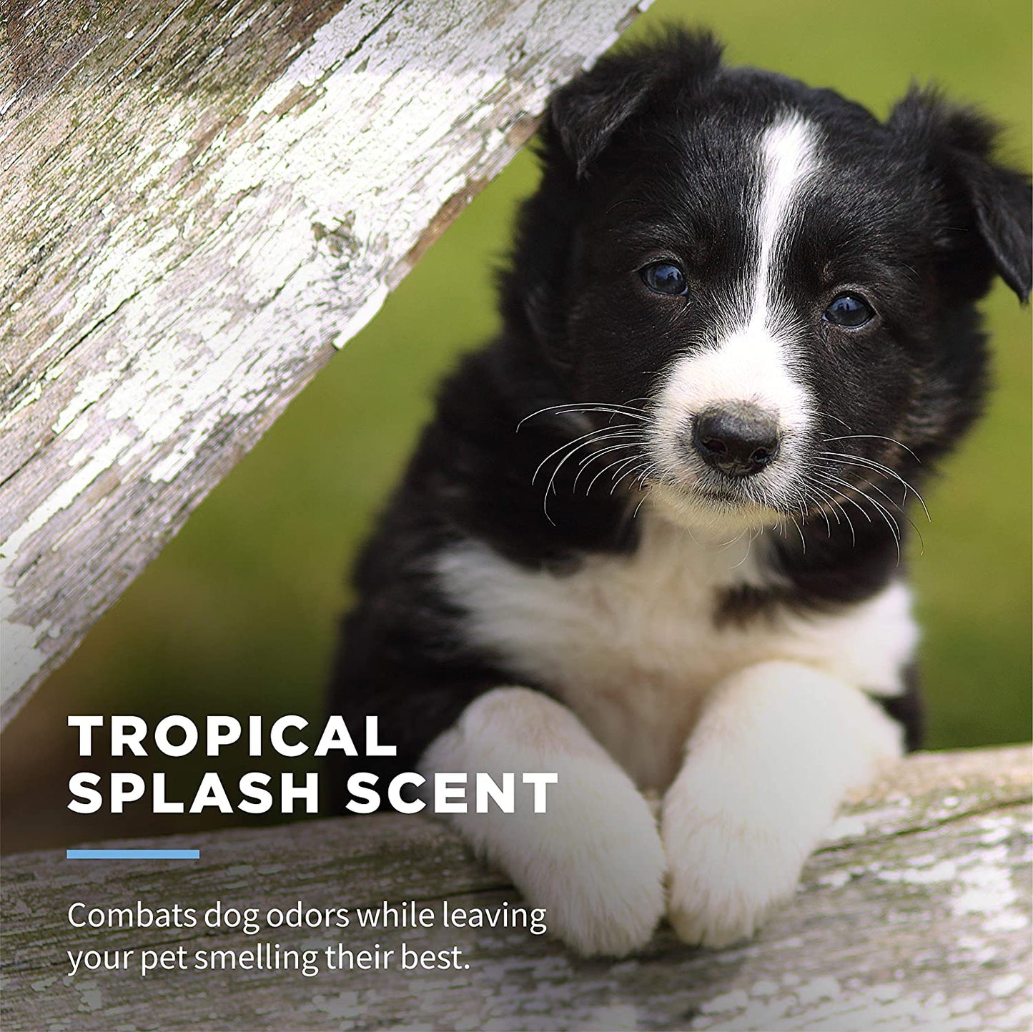 for Pets Delicate Clean Puppy Cleaning Wipes with Oatmeal | Mild & Soothing Puppy Grooming Wipes in Tropical Splash Scent, Wipes with Wet Lock Seal | 30 Ct Pouch Dog Wipes